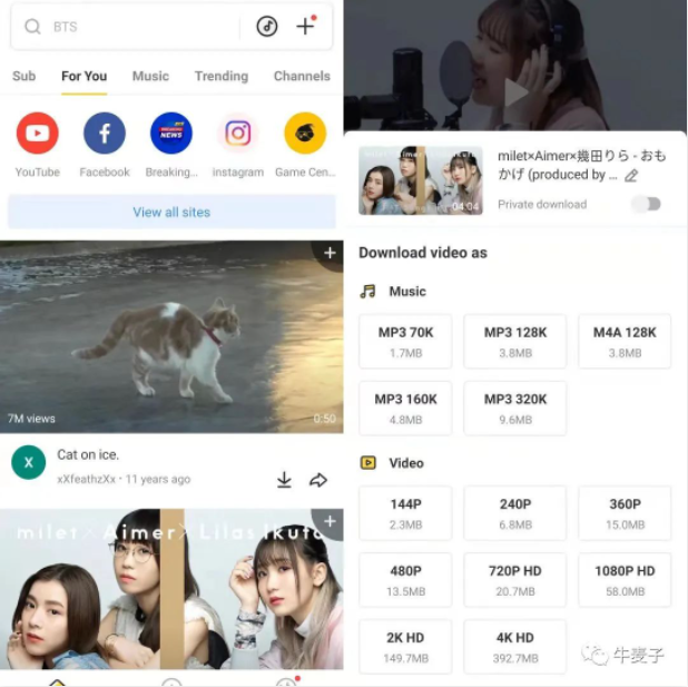 图片[1]-SnapTube-破解付费Vip版-洛雪音乐助手-软件分享