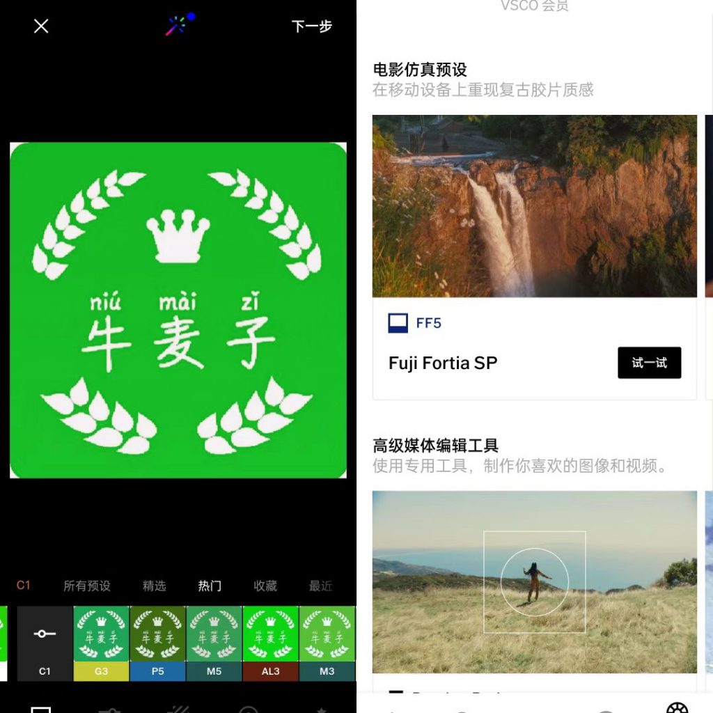 图片[2]-VSCO-解锁全部滤镜专业版-洛雪音乐助手-软件分享