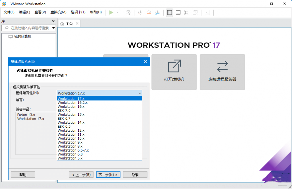 图片[1]-VMware Workstation PRO-正式版-洛雪音乐助手-软件分享