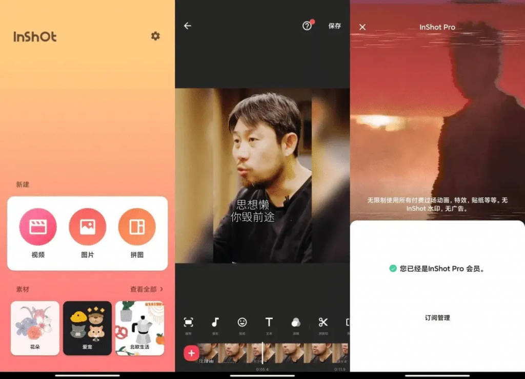 图片[1]-InShot-解锁专业版-洛雪音乐助手-软件分享