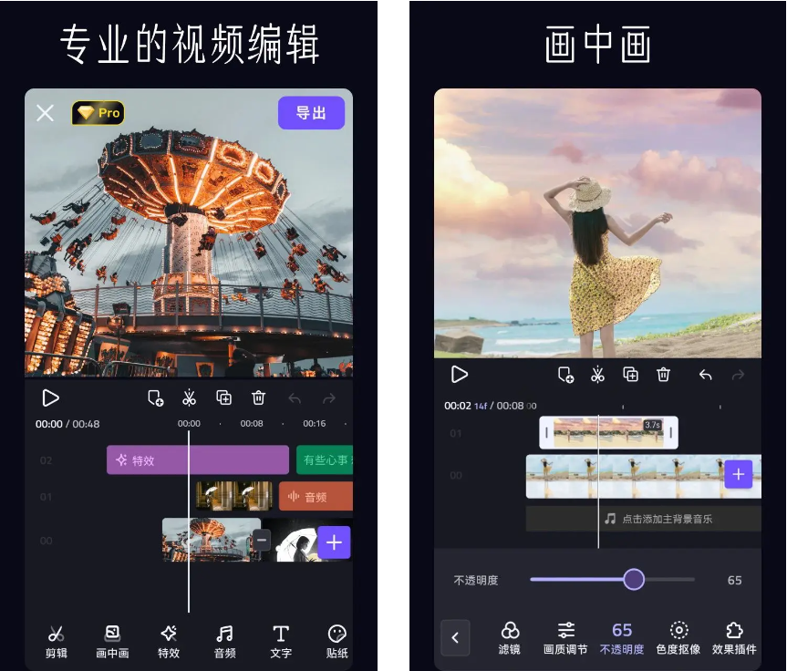 图片[1]-VivaCut视频编辑-解锁付费专业版-洛雪音乐助手-软件分享
