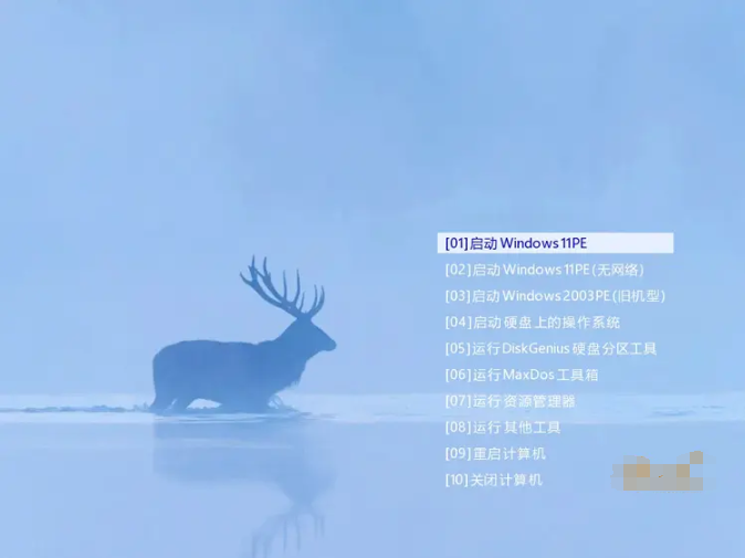 图片[1]-FirPE装机维护系统U盘启动工具-高效率WinPE工具-洛雪音乐助手-软件分享
