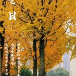 悠悠乐民的头像-洛雪音乐助手-软件分享