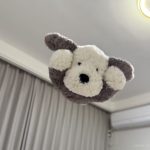 vhyh的头像-洛雪音乐助手-软件分享